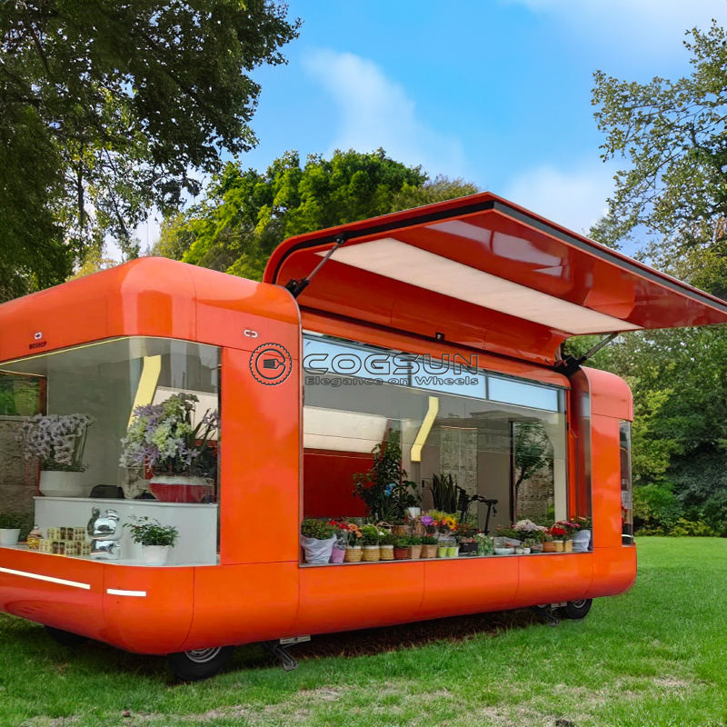 Street Mobile Food Trailer Piz - Hot Dog Vending Cart recensie en prijs